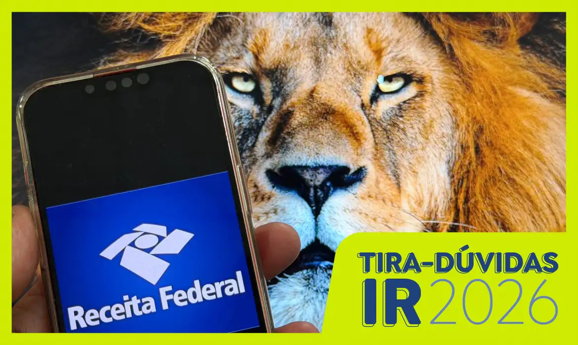 Apostas no IR 2026: Como Declarar Ganhos com Bets