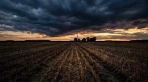 Recuperação judicial no agro sobe 33% e afeta fornecedor